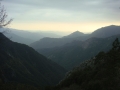 Sequoia NP